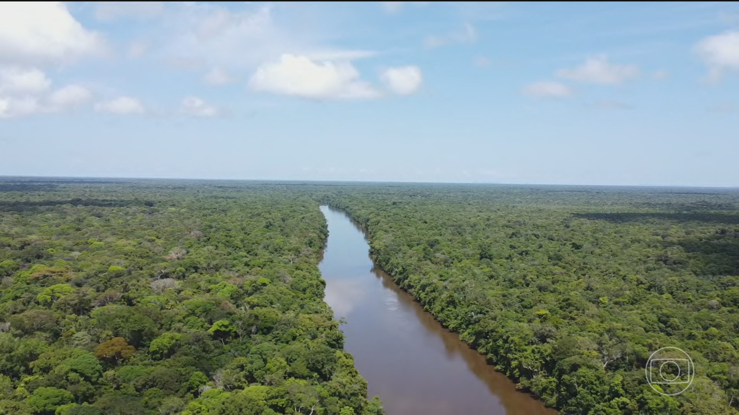 Alemanha afirma que vitória de Lula é boa notícia para Amazônia